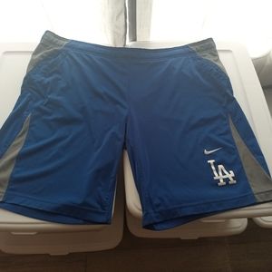 Nike Dri-Fit LA Color Block Blue/Gray Shorts Size Large